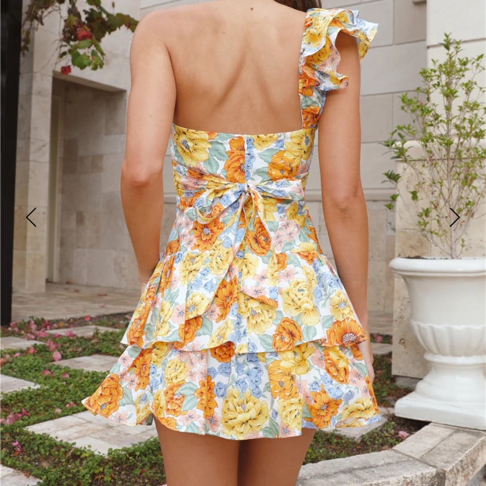Hello Molly Ruffled Out Mini Dress - Picture 3 of 10